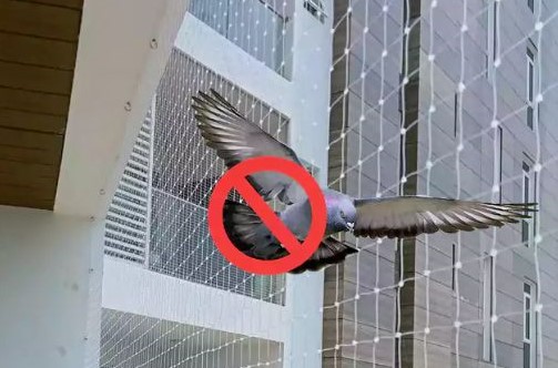 Pigeon Safety Nets